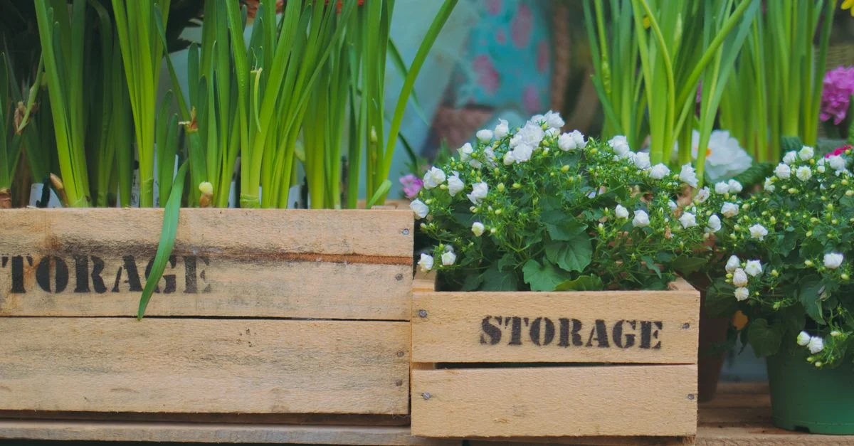 Des fleurs colorées et des plantes vertes dans des caisses de rangement en bois en extérieur.