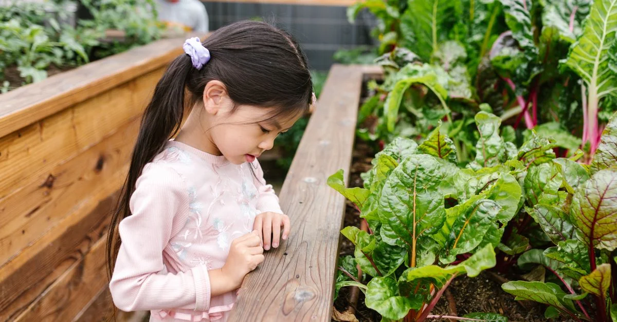 Une jeune fille examine attentivement des feuilles vertes dans un jardin extérieur, affichant curiosité et émerveillement.