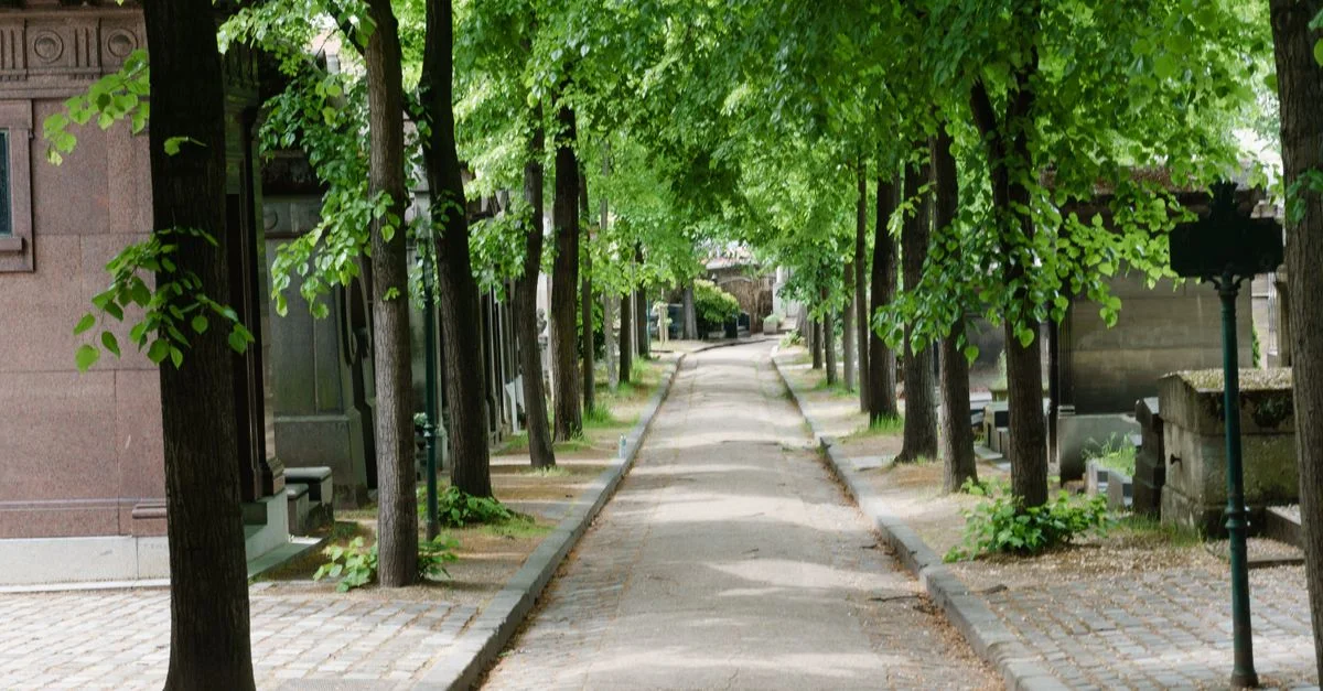 Allée paisible bordée d'arbres dans un ancien cimetière parisien, idéale pour des promenades naturelles sereines.