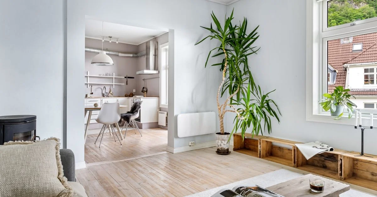 Salon moderne lumineux et spacieux avec un design minimaliste, mettant en valeur la lumière naturelle et les plantes d'intérieur.