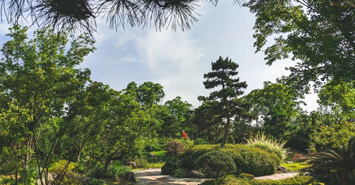 Un cadre de jardin tranquille avec un chemin sinueux entouré d'arbres et d'arbustes luxuriants sous un ciel dégagé.